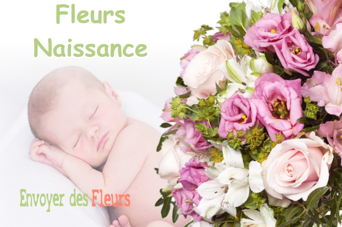 lIVRAISON FLEURS NAISSANCE à MOIRANS-EN-MONTAGNE